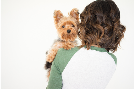 飼い主に抱えられた犬の写真