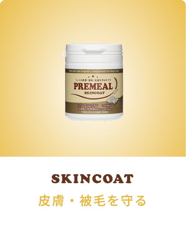 SKINCOAT